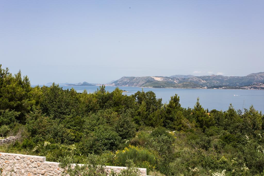 Oliva