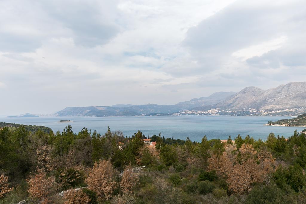 Oliva * Cavtat