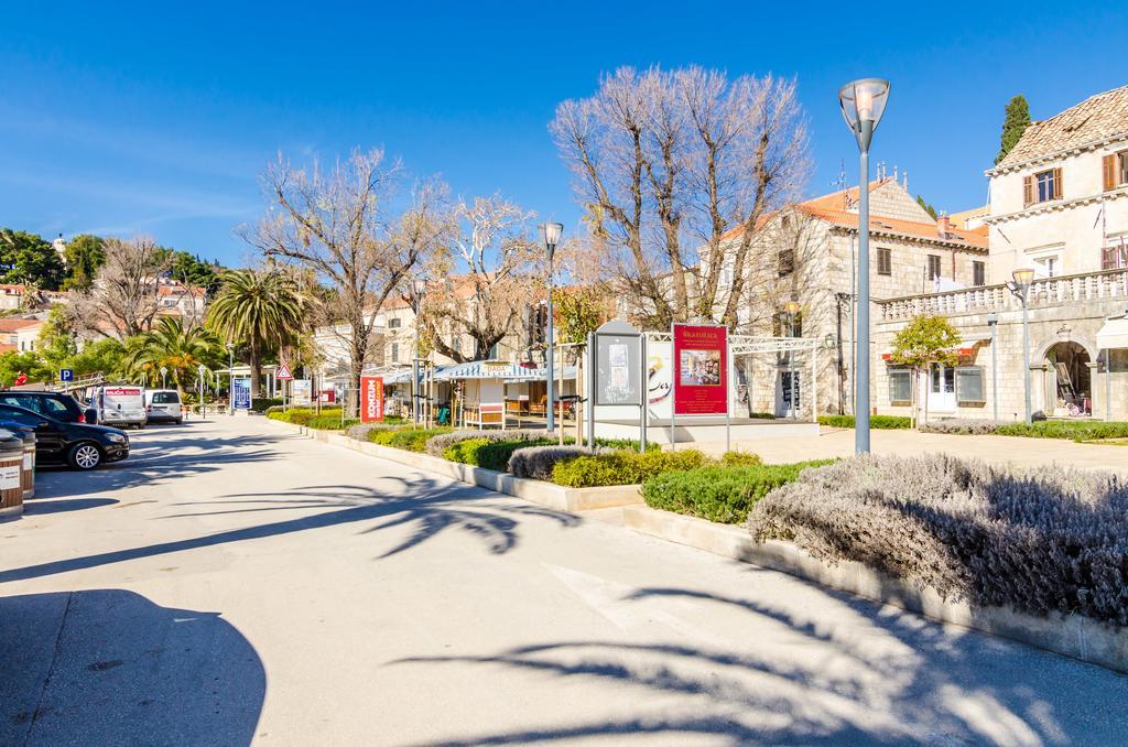 Apartment Oliva *